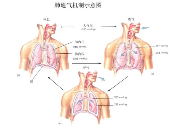 &#75;&#97;&#105;&#121;&#117;&#110;&#45;&#20013;&#22269;&#65288;&#23448;&#26041;&#32593;&#31449;&#65289;&#45;&#22269;&#23478;&#35748;&#35777;&#26381;&#21153;&#24179;&#21488;